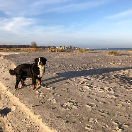 „die Koje“ Hohwacht/ostsee *